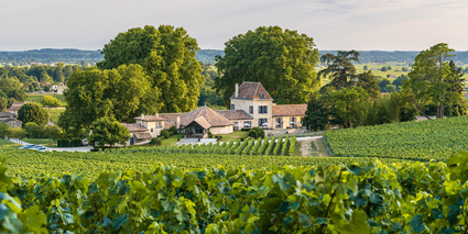 Chateau Bellefont Belcier